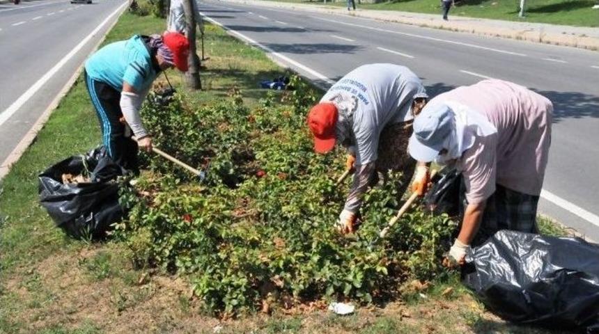 Tekirdağ&rsquo;da Park Ve Bah&ccedil;elerde Temizlik &Ccedil;alışmaları Devam Ediyor
