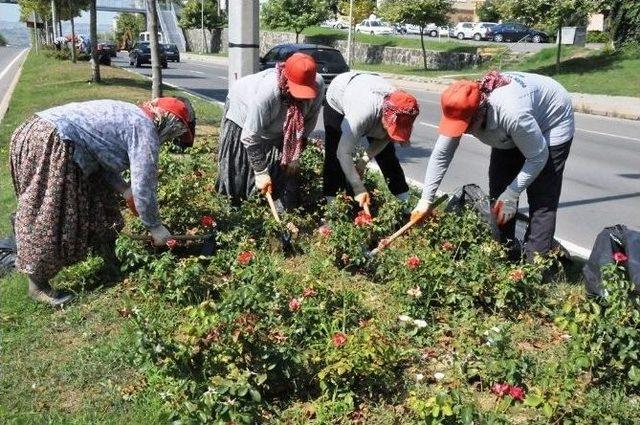 Tekirdağ’da Park Ve Bahçelerde Temizlik Çalışmaları Devam Ediyor