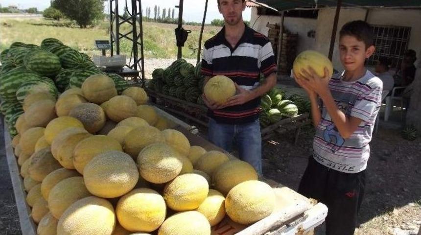 Bu Da Yazıhan Kavunu