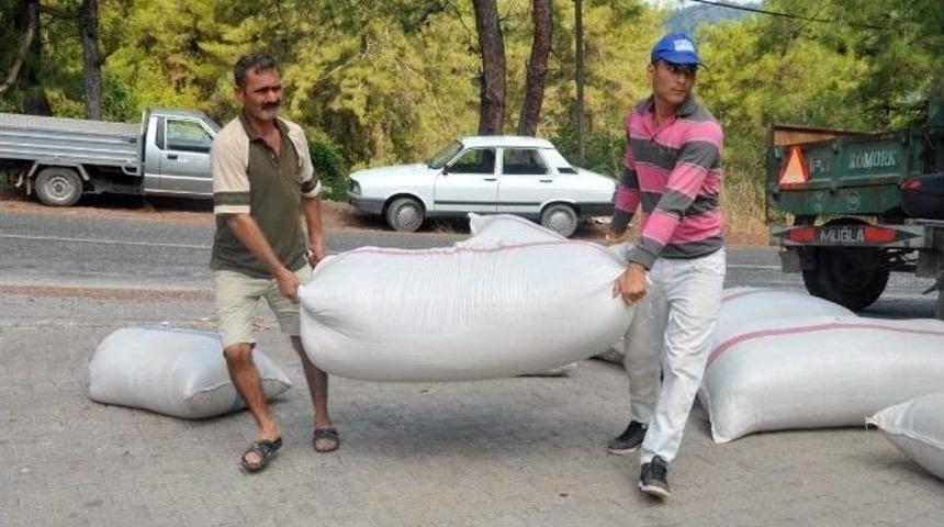 G&ouml;kbel&rsquo;de Kekik Ve Ada&ccedil;ayı İhalesi Yapıldı