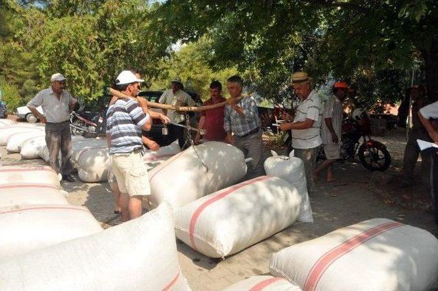 Gökbel’de Kekik Ve Adaçayı İhalesi Yapıldı