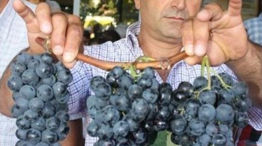 Mudanya Belediyesi Tarımsal &Uuml;r&uuml;nde Kalkınmayı Hedefliyor