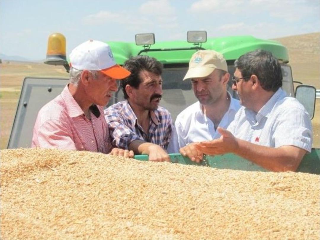 Bayburt’ta Hasat Heyecanı