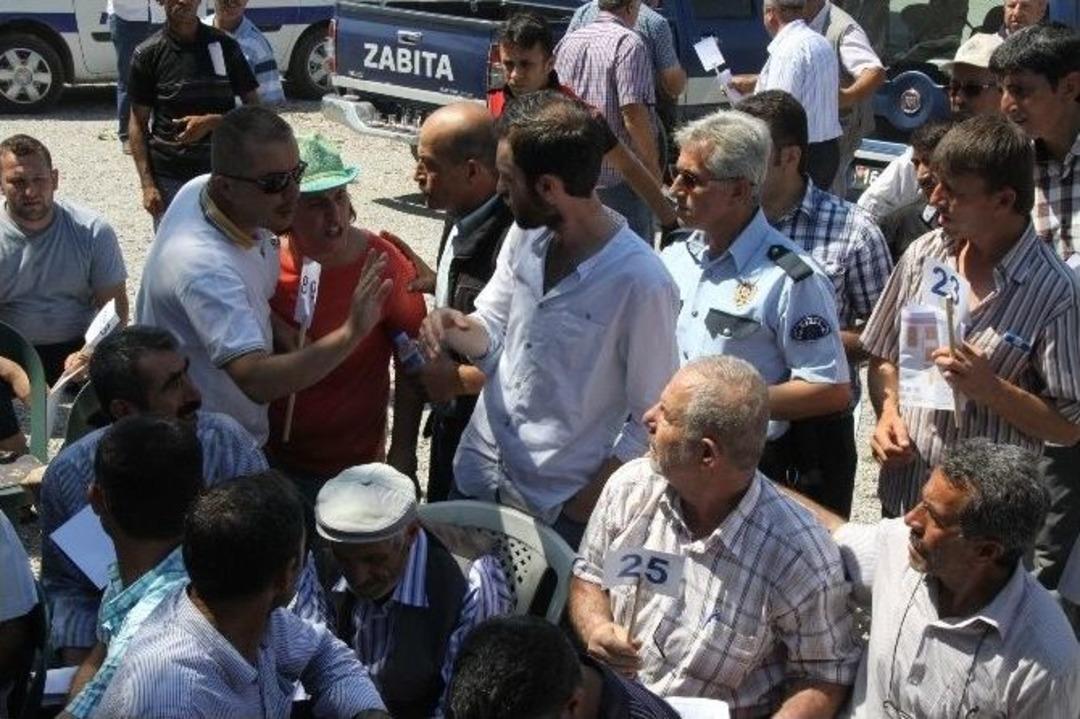 Kurbanlık Hayvan Satış Yerleri İhale Edildi