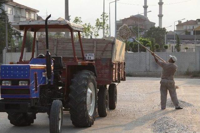 Ay Çekirdeğinde Hasat Zamanı