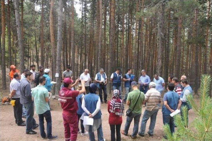 Kütahya’da ’sarıçam’ Seferberliği G3