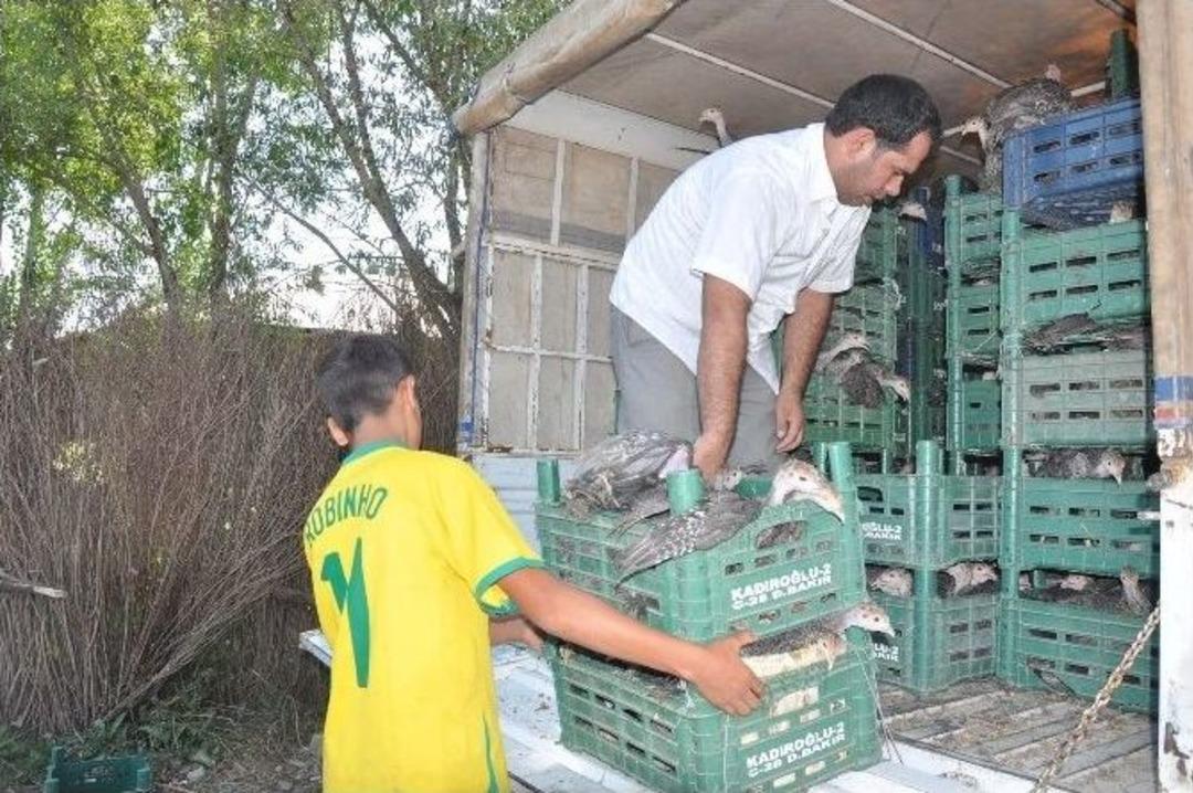 İhtiya&ccedil; Sahiplerine Hindi Dağıtıldı