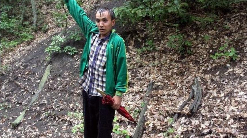 Bartın&rsquo;da Ayı Paniği