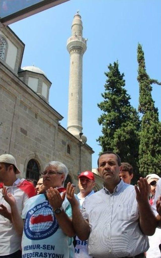 14 Ağustos Dünya Rabia Günü