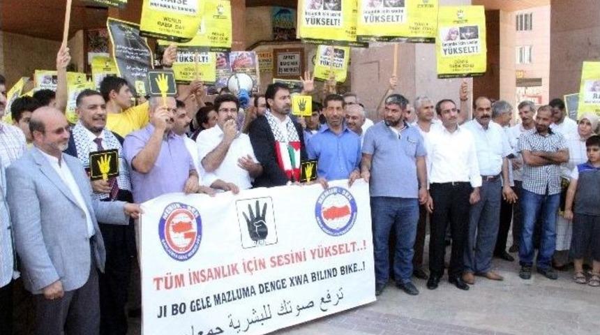 D&uuml;nya Rabia G&uuml;n&uuml;