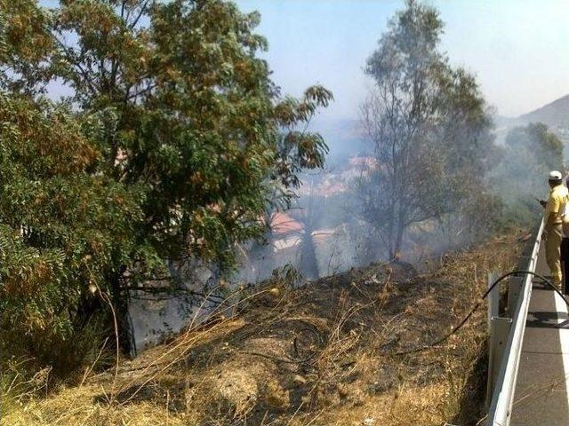 Foça’da Arabadan Atılan Sigara Yangına Neden Oldu