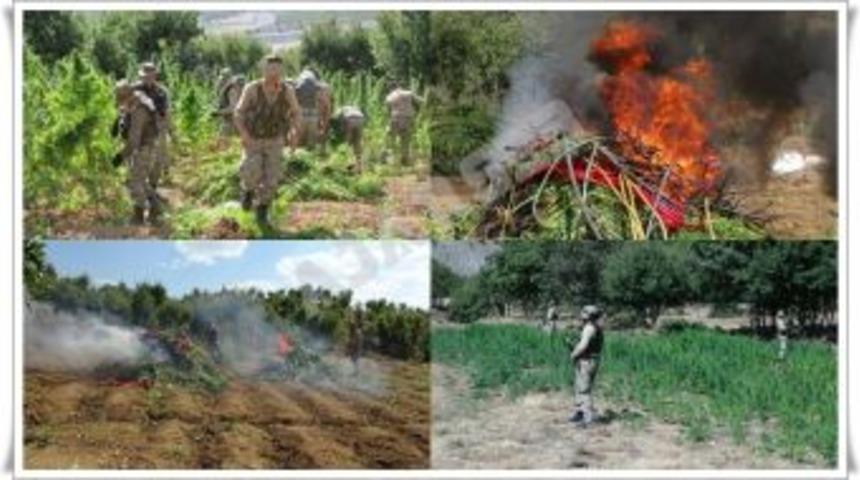 Jandarma&rsquo;dan dev esrar operasyonu