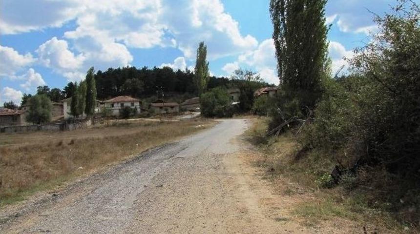 K&ouml;y Yolu K&ouml;stebek Yuvasına D&ouml;nd&uuml;