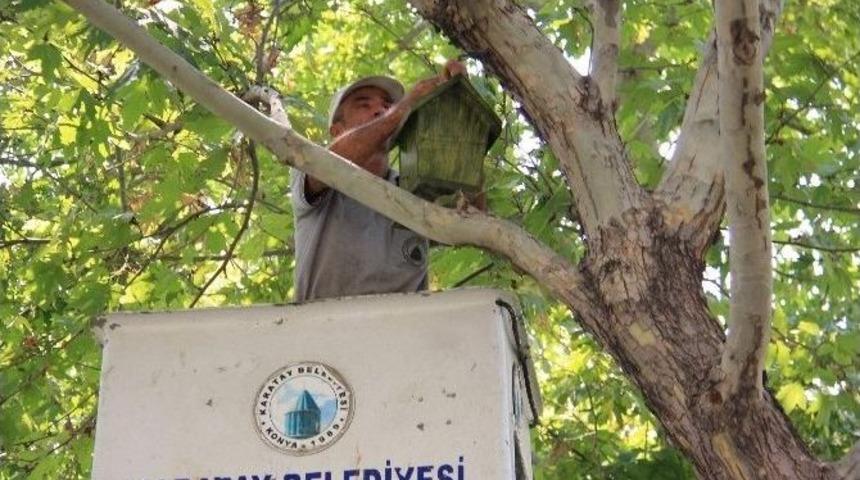 Karatay Belediyesi Parklara Kuş Evleri Yerleştiriyor