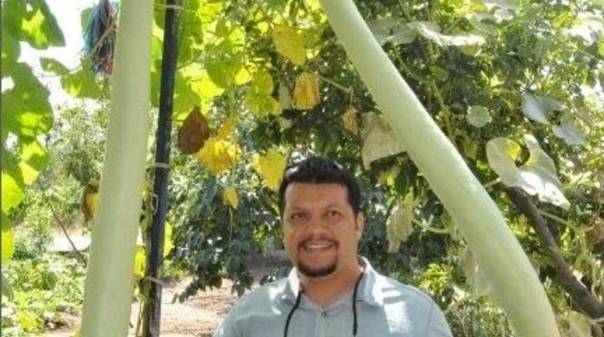 2 Metrelik Kabak G&ouml;renleri Şaşırtıyor