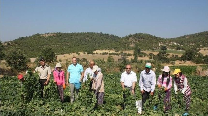 Doğanpınar G&ouml;leti &Ccedil;ift&ccedil;ilerin Y&uuml;z&uuml;n&uuml; G&uuml;ld&uuml;r&uuml;yor