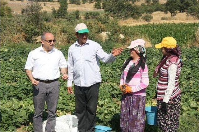 Doğanpınar Göleti Çiftçilerin Yüzünü Güldürüyor