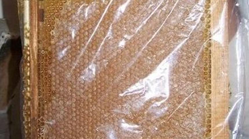 İmecikli Balcılar Bu Yıl Mutlu