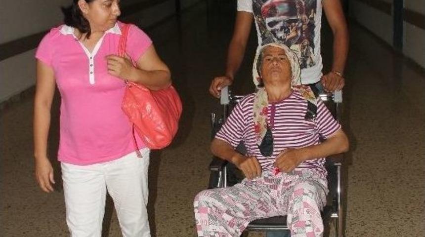 (&ouml;zel Haber) Arının Soktuğu Kadın Tekerlekli Sandalyeye Mahkum Oldu