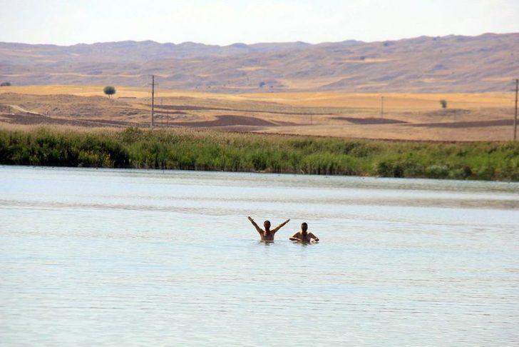 Hafik Gölü'nde Kuraklık Etkili Oluyor G5