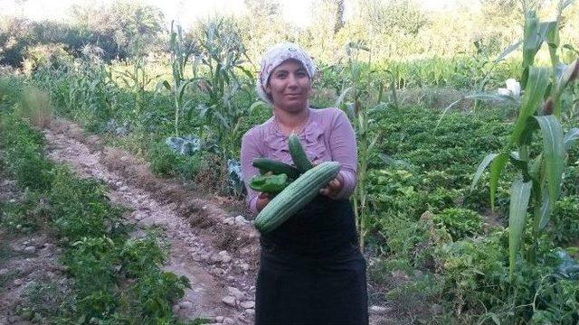 Organik Ürünler Yerinde Alıcı Buluyor