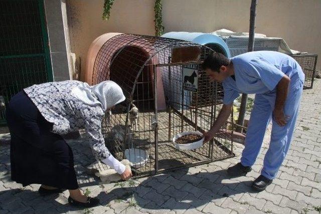 İnegöl’de 400 Sokak Hayvanı Sahiplendirildi