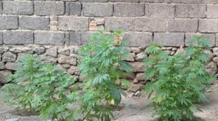 Afyonkarahisar&rsquo;da Polisten Uyuşturucu Operasyonları