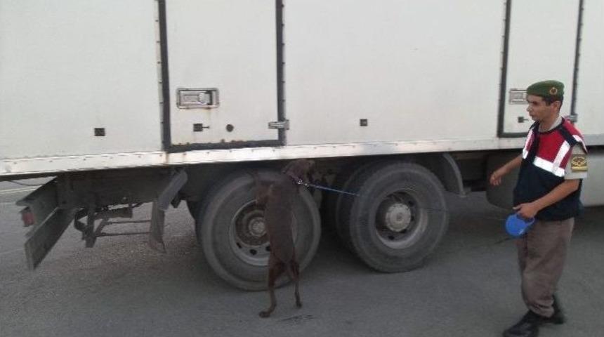 Eskihisar Feribot Hattında Uyuşturucu Denetimi