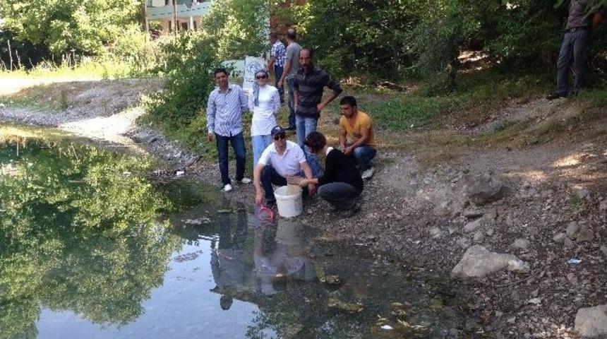 Yedi G&ouml;llere 2 Bin 500 Adet Kırmızı Benekli Alabalık Bırakıldı