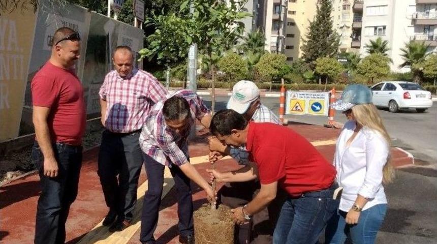 Başkan Uysal, &ldquo;muratpaşa Turun&ccedil; Kokacak&rdquo;