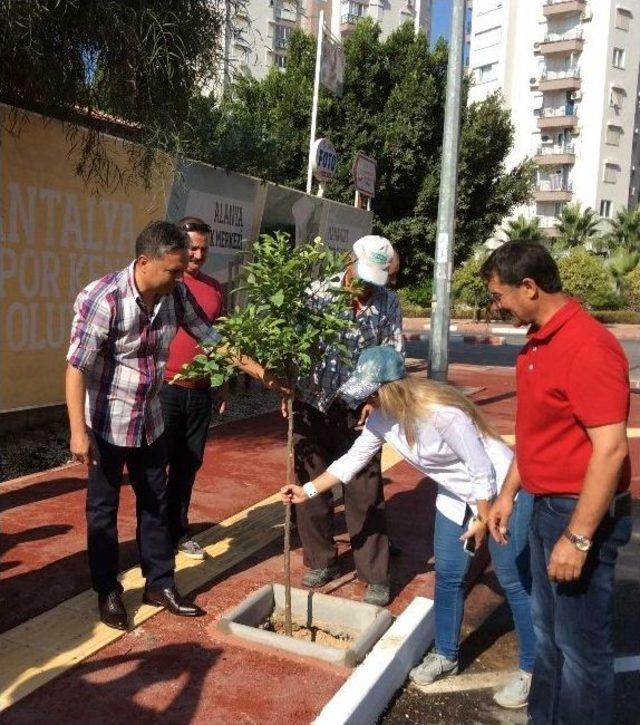 Başkan Uysal, “muratpaşa Turunç Kokacak”