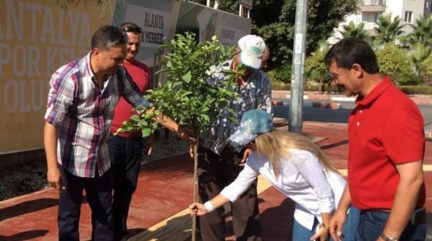 "Muratpaşa Turun&ccedil; Kokacak"