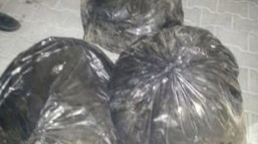 Konya&rsquo;da 40 Kilo Esrar Yakalandı