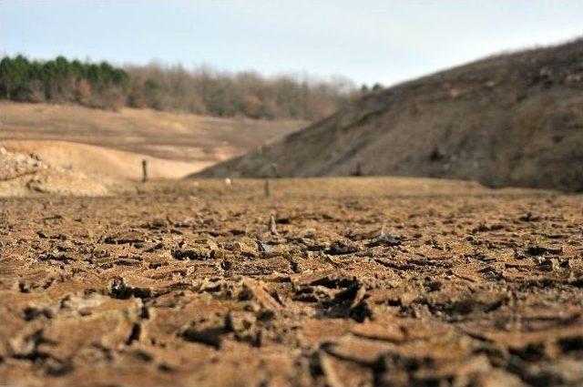 Yalova’da Su Kesintileri Başladı