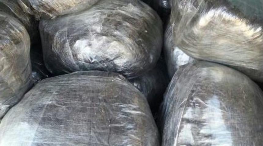 280 Kilo Esrarla Yakalandı