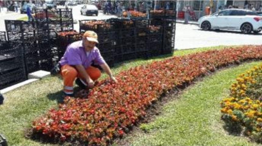 Yalova &Ccedil;i&ccedil;ek A&ccedil;tı