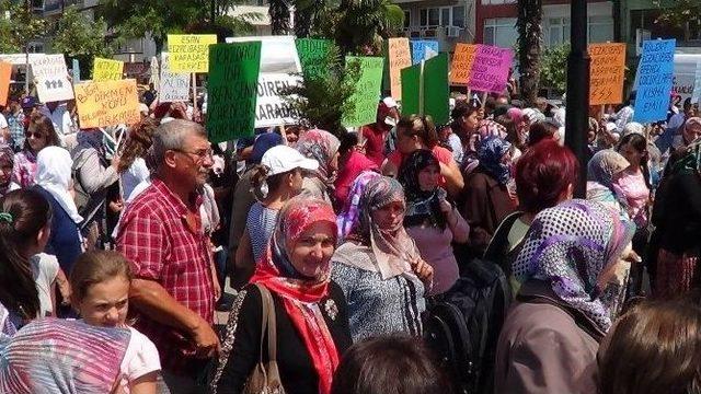 Çanakkale’de Köylülerden Altın Madeni Eylemi