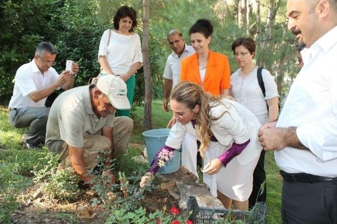 Organ Bağışına Turizmci Desteği