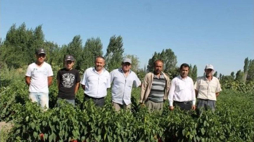 Seydişehir&rsquo;de &Uuml;reticiler Pazar Bulamamaktan Şikayet&ccedil;i