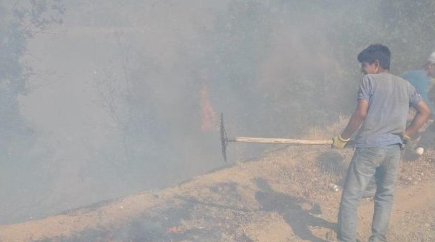 Ekin&ouml;z&uuml;&rsquo;nde Orman Yangını