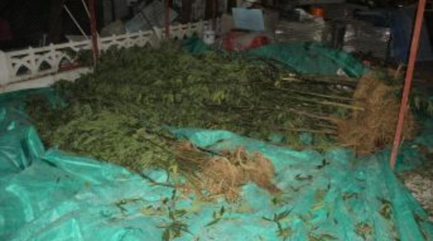 Ardeşen'de Uyuşturucu Operasyonu