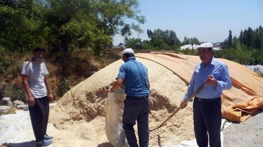 Adilcevaz&rsquo;da Besiciler Kış Hazırlıklarına Başladı