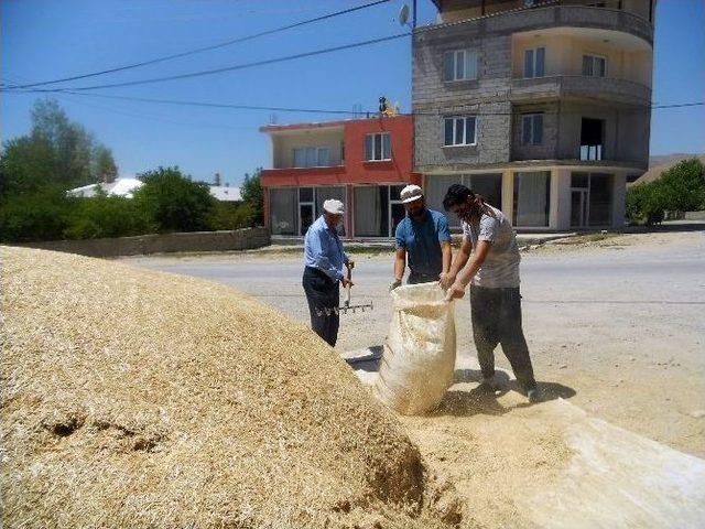 Adilcevaz’da Besiciler Kış Hazırlıklarına Başladı