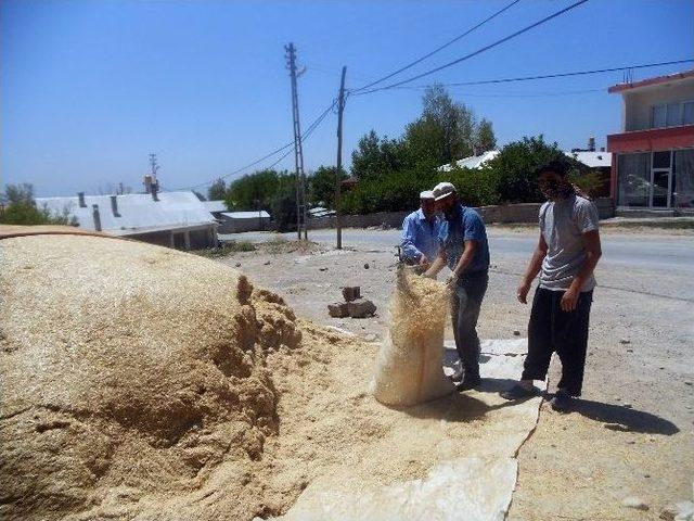 Adilcevaz’da Besiciler Kış Hazırlıklarına Başladı