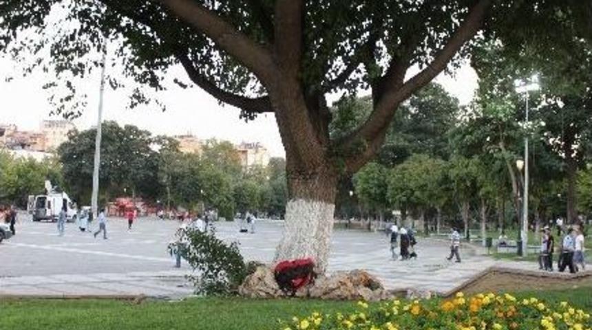 Gaziantep&rsquo;te Ş&uuml;pheli Paket Polisi Alarma Ge&ccedil;irdi