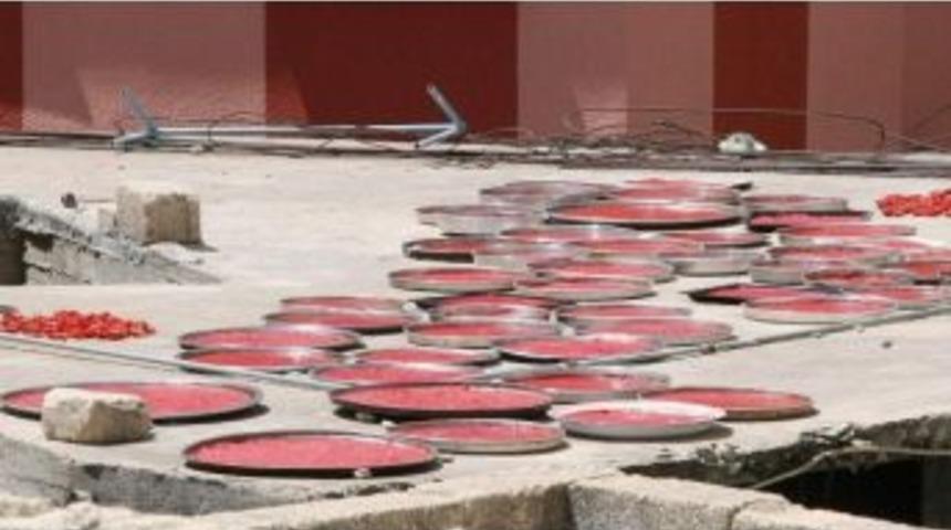 Kilis&rsquo;te Domates Sal&ccedil;ası Telaşı Başladı