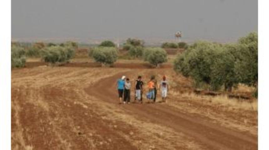 Sınırda Arazileri Olanlar Suriyeliler&rsquo;den Şikayet&ccedil;i