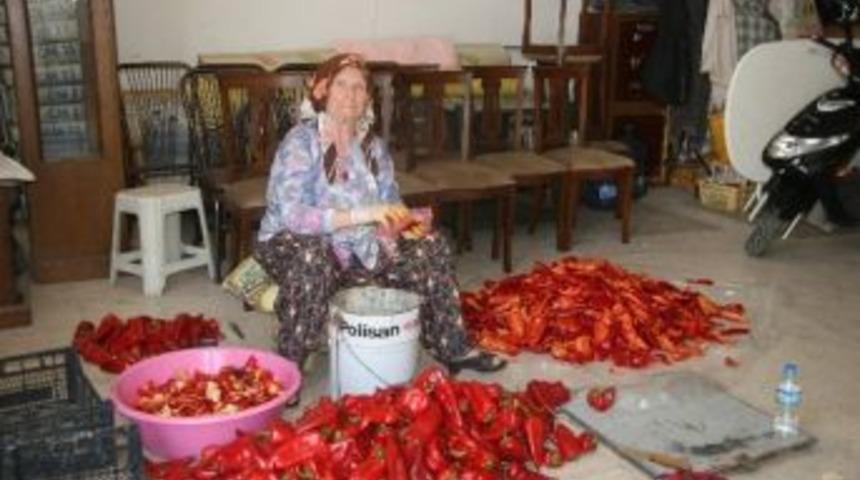 Biber Sal&ccedil;ası Geleneği S&uuml;r&uuml;yor