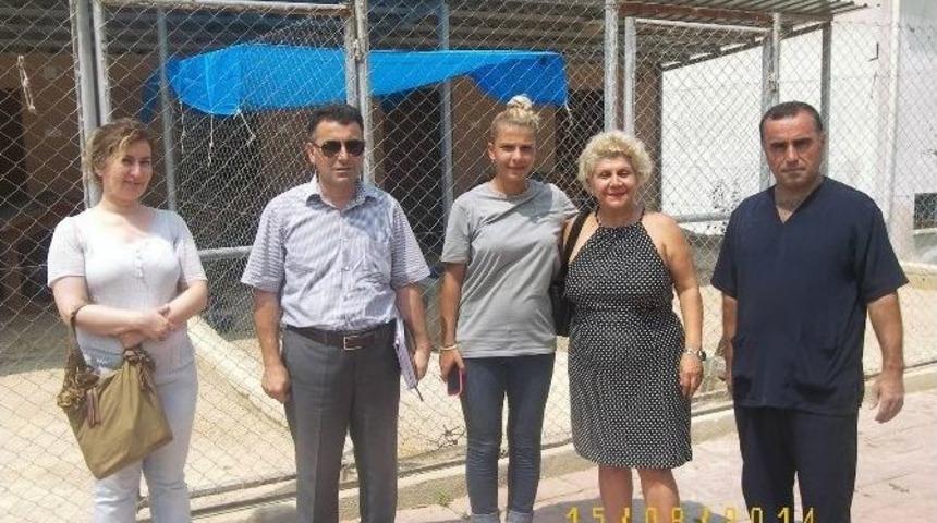 Gezici Ameliyathane İlk Kısırlaştırma Operasyonunu Kozan&rsquo;da Yaptı