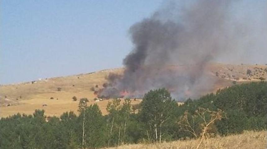 G&uuml;vencinin Yaptığına Bak